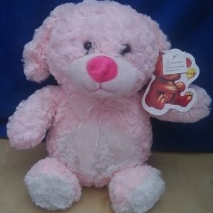 Singing Toy